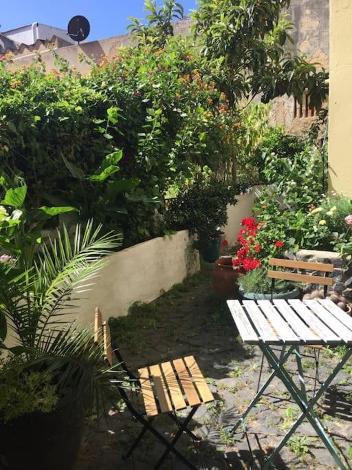リスボンDowntown Garden Houseアパートメント エクステリア 写真